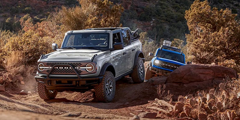Two 2023 Ford Broncos, a silver and a blue model, racing each other through a dirt road.