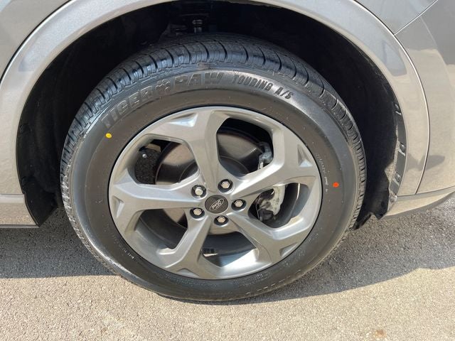 Photo 41