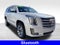 2019 Cadillac Escalade Platinum Edition