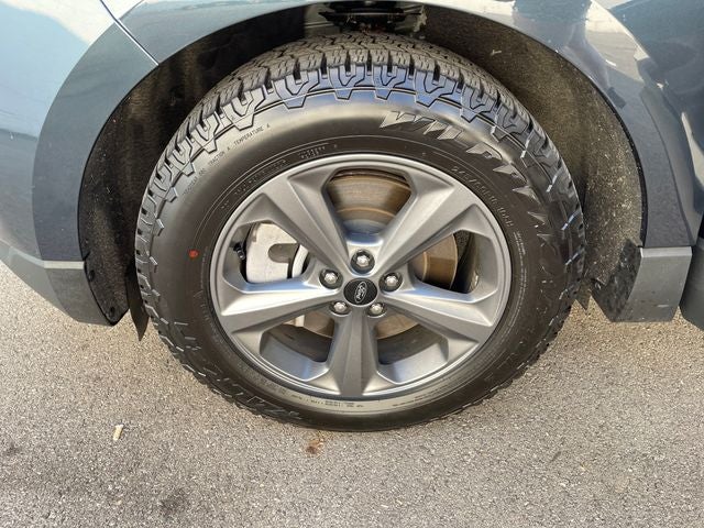 Photo 21