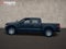 2024 Ford F-150 Police Responder XL